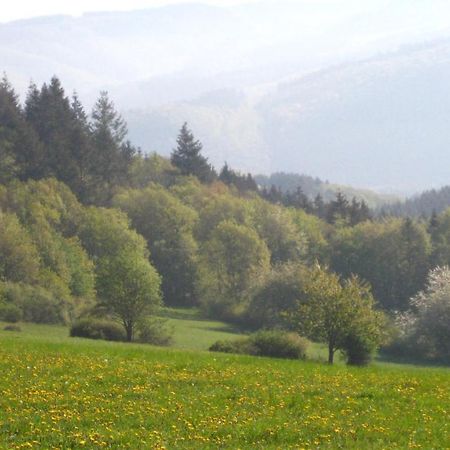 Ferienwohnung Erika Wimbach Kültér fotó